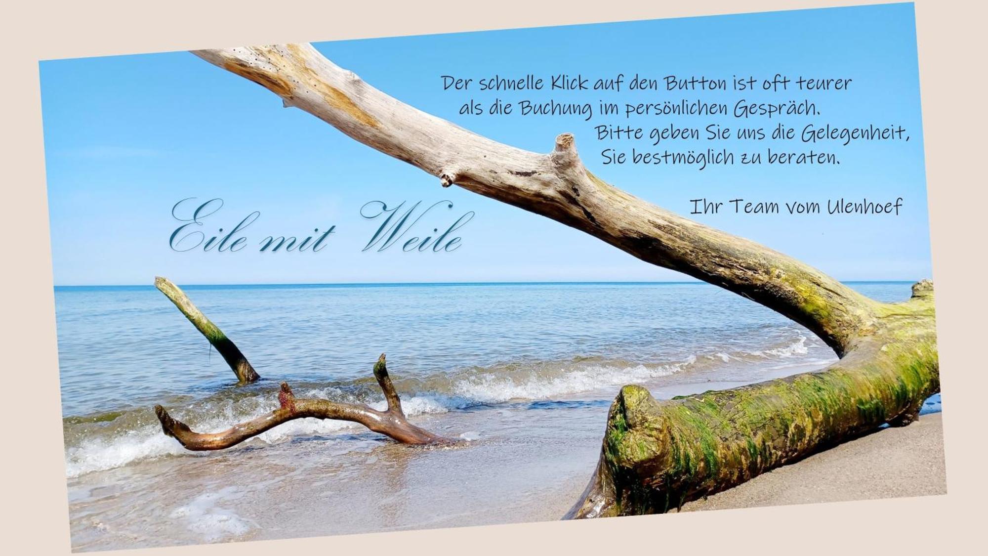 Fewo Weide - Ulenhoef Prerow Exterior foto